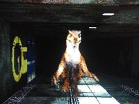 une photo d'Ã©cran de Jurassic Park Interactive sur Panasonic 3DO